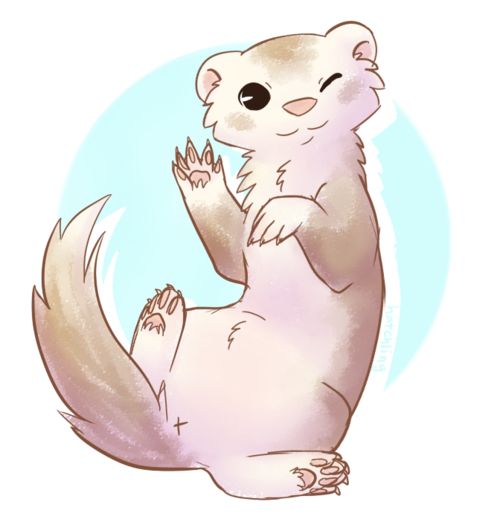 ferretfooter